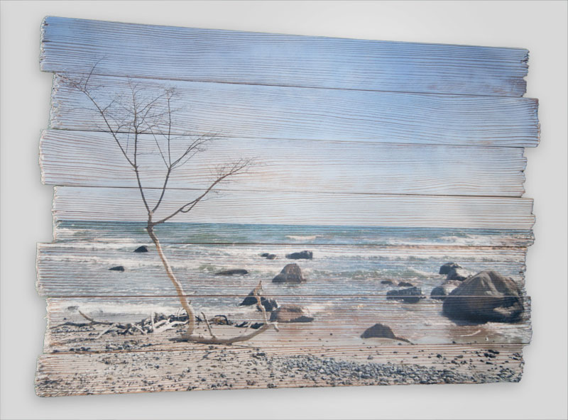 Landschaft auf Lärche mit gebrochener Kante